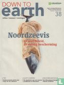 Down to earth 38 - Afbeelding 1
