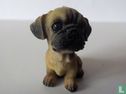 Chien  - Image 1