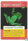 Gestippelde boomkikker - Image 1