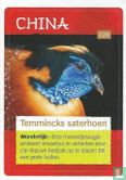 Temmincks saterhoen - Afbeelding 1
