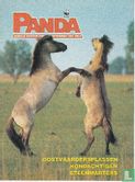 Panda 9 - Bild 1