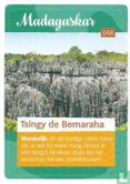 Tsingy de Bemaraha - Afbeelding 1