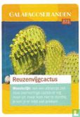 Reuzenvijgcactus - Afbeelding 1