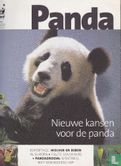 Panda 6 - Image 1