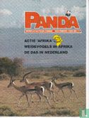 Panda 11 - Afbeelding 1