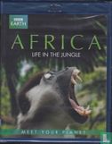 Africa - Life in the Jungle - Bild 1