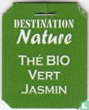 Thé Bio Vert Jasmin - Image 3
