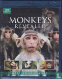 Monkeys Revealed - Image 1