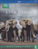Life Story - Many Lives, One Epic Journey - Afbeelding 1