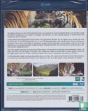 Amazing Animals - Her verloren land van de Tijger - Afbeelding 2