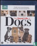 The Secret Life of Dogs - Image 1