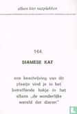 Siamese kat - Image 2
