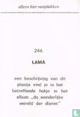 Lama - Image 2
