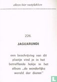 Jaguarundi - Image 2