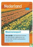Bloemenexport   - Afbeelding 1