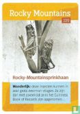Rocky-Mountainsprinkhaan  - Afbeelding 1