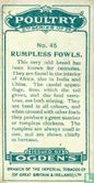 Rumpless Fowls - Image 2