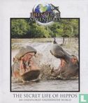 The Secret Life of Hippos - An Unexplored Underwater World - Afbeelding 1