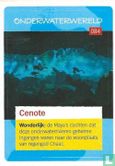 Cenote  - Afbeelding 1