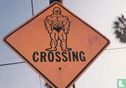SC055 - Sports - K.C. Spoeri 'Bodybuilders crossing' - Bild 1