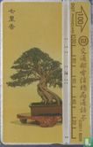 Bonsai tree - Bild 1