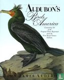Audubon's Birds of America - Image 1