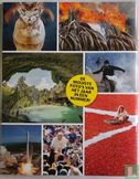 Quest In Beeld - Image 2