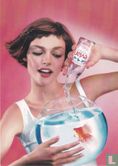 Evian - Afbeelding 1