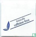 Pickwick / Naturally Caffeine-free  - Bild 2