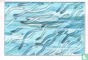Glasalen zwemmen stroomopwaarts - Afbeelding 1