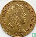 Frankrijk 1 louis d'or 1648 (B) - Afbeelding 1
