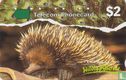 Echidna - Afbeelding 1