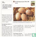 Huisdieren: Hoeveel eieren legt een kip per jaar?