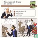 Huisdieren: Sinds wanneer is de lama een huisdier? - Image 1