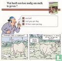 Huisdieren: Wat heeft een koe nodig om melk te geven? - Image 1