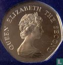 Falkland Islands 20 pence 1982 - Image 2