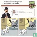 Huisdieren: Wat is het opmerkelijke aan de klauwen van een kat? - Image 1