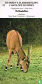 De derby's elandantilope - Afbeelding 1