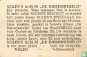 Leeuw - Bild 2