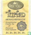 Turfan - Image 1