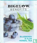 Blueberry & Aloe - Image 1