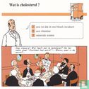 Geneeskunde: Wat is cholesterol? - Afbeelding 1