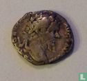 Romeins Keizerrijk  denarius  193-211 - Afbeelding 1