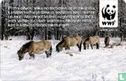 Horses WWF - Afbeelding 2