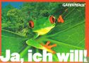 Greenpeace "Regenwald ist Leben" - Afbeelding 2