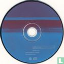 Radiophonics (1995 Soundscapes Volume 1 - Live In Argentina) - Bild 3