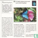 Natuurlijke Historie: Tot welke orde behoren de vlinders?