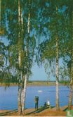 Berkenbomen bij Wolga - Image 1