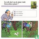 Planten: In welk deel van de plant vindt fotosynthese plaats? - Image 1