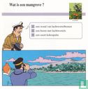 Planten: Wat is een mangrove? - Image 1